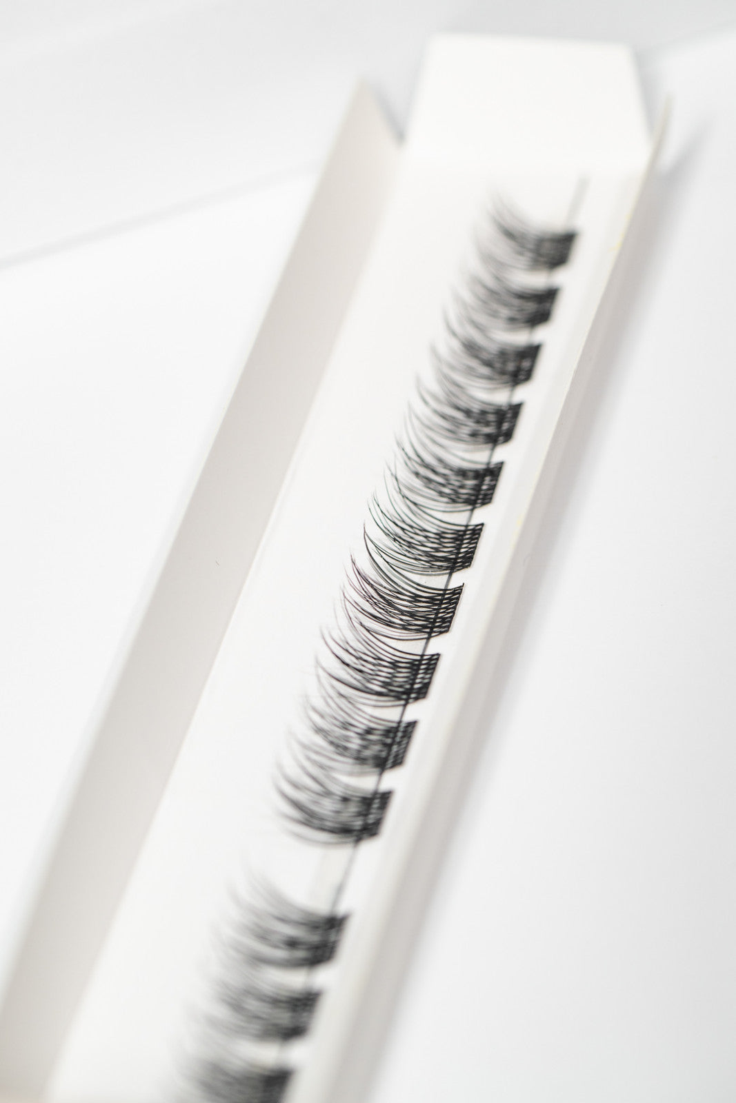'Original' Natural Lash Pack