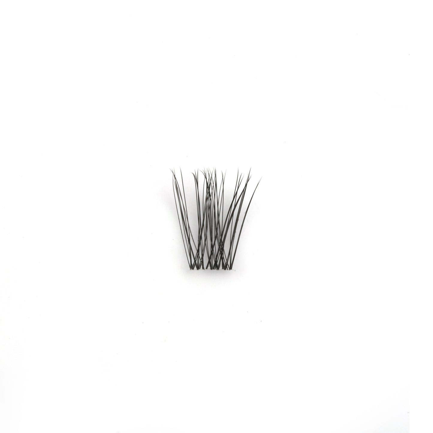 Naked Lash Packs - Lashed.